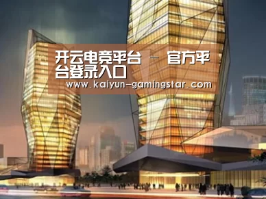 案例展示三