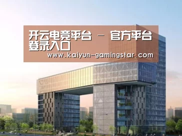 案例展示四