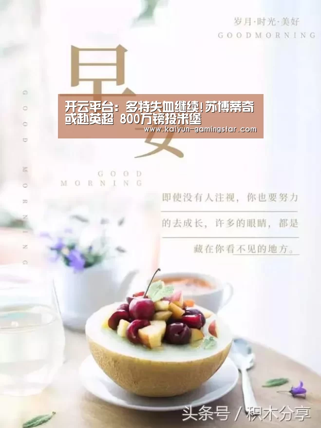开云入口